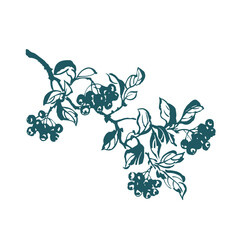 japanese chinese vector ink traditional asian design isolated