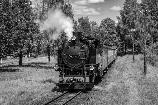 German narrow gauge steam locomotive near Zittau