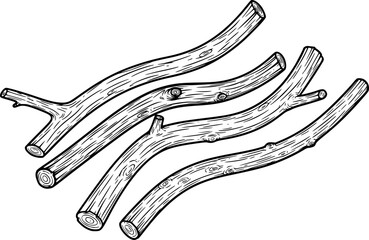 Hand drawn black and white wooden branches with visible grain and knots white background © Hira