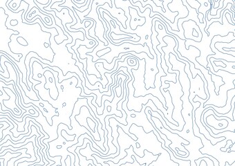 Fototapeta premium Curvas de nivel sobre fondo blanco. Mapa topográfico, cartografía.