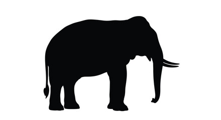 A striking black silhouette of an african elephant stands prominently © MD