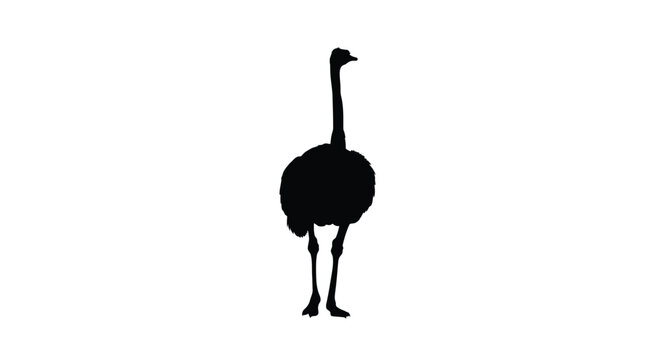 A striking black silhouette of an ostrich standing gracefully silhouette