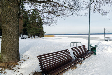 Empty Benches by Frozen Lake in Winter
