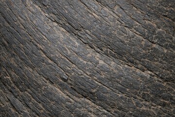 Fototapeta premium Rhinoceros Horn Texture Seamless Pattern. Close-up rhino horn surface detail. Realistic rhinoceros horn natural keratin structure texture design. Detailed macro close-up. Wildlife mammal pattern.