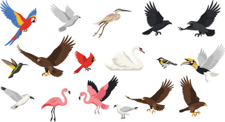 Diverse Bird Species Vector Collection Featuring Macaw Parrot, Eagle, Flamingo, Swan, Hummingbird, and Pigeon for Wildlife Nature Conservation and Ornithology Educational Graphic Designs © MD