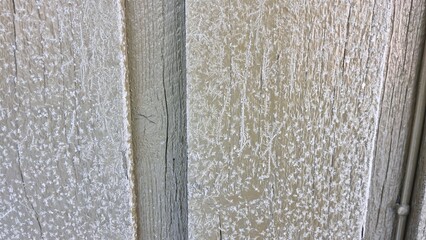 Texture of weathered wood with white patterns in sunlight