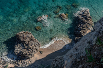 coral reef in the sea