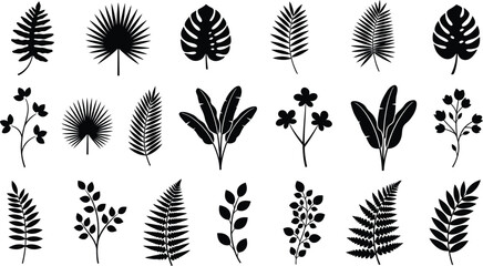 Collection of various leaf and fern illustrations © mdkamran