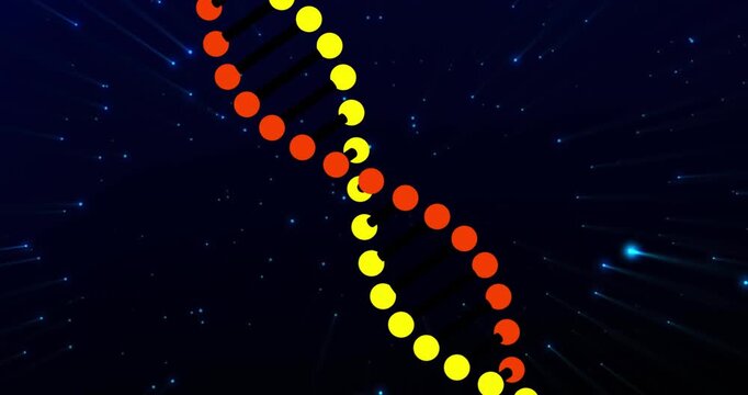 Small discs appearing, nodes forming chains, bars linking, helix rotating, framing peach disk