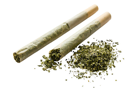 Two rolled cannabis joints with loose marijuana buds on white background for wellness and relaxation design