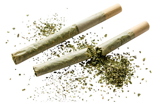 Two rolled cannabis joints with marijuana buds and herb on white background for wellness and relaxation concept
