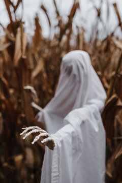 A creepy skeleton in a corn field dressed as a ghost for a halloween party in October.