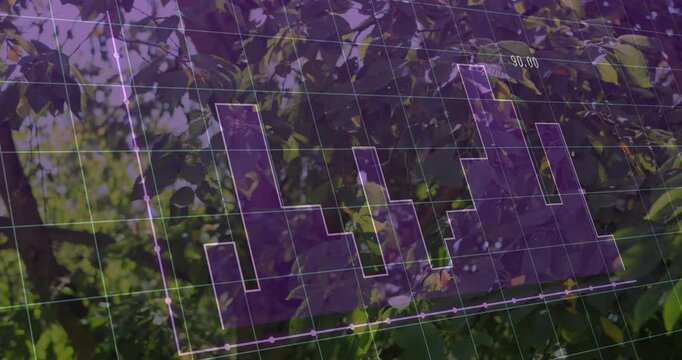 Corner axis appearing, purple grid and step-chart tracing upward steps, fill growing to show trend