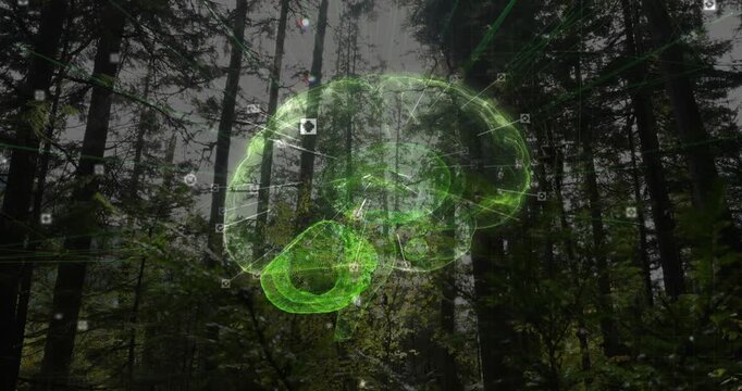 Diffuse light initiating neon 3D brain fading, rotating, visualizing nodes and links over forest