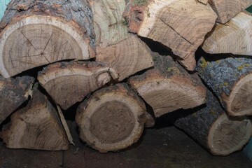 Fresh cut wood placed on old stove to dry before burning. Rustic interior detail symbolizing traditional heating, energy saving and rural living.