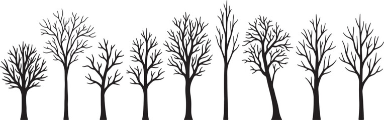 Obraz premium A row of bare black trees with intricate branches against a white background also transparent background