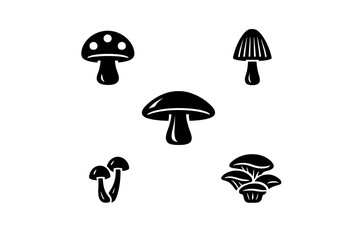 Five distinct mushroom sketches are displayed in a minimalist line art style on a black background. The collection features various fungal shapes and textures in white outlines.