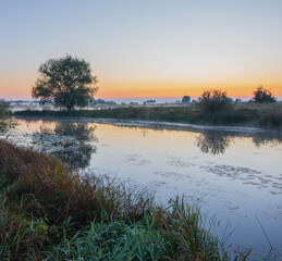 Obraz premium soft morning light on the foggy lake at sunrise 