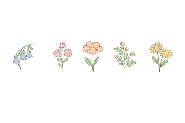 Five distinct hand-drawn floral illustrations including bellflowers and daisies are displayed in a row against a black background, featuring soft pastel colors and simple outlines.