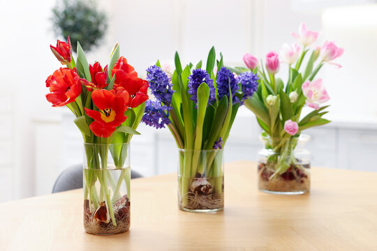 Beautiful spring flowers in vases on wooden table indoors, closeup