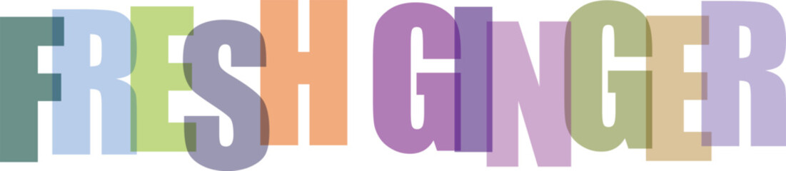 Colorful typographic text fresh ginger with multicolored block letters typography © Mim