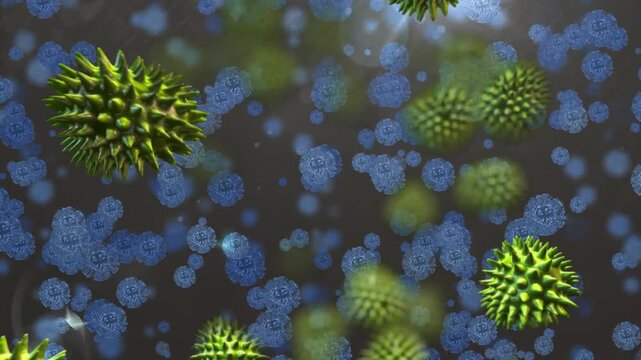 Green spiky spheres entering edges drifting across frame, passing blue cells, showing suspension