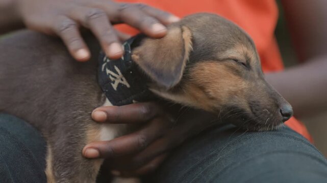 Black teen athlete resting with puppy, orange training shirt and worn jeans, hands cradling brown pup with patterned black collar, closeup lap shot, calm recovery moment after practice, soft outdoor