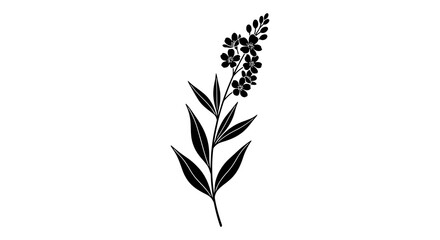 Black and white illustration of a flowering plant stem with elongated leaves © arfanah02