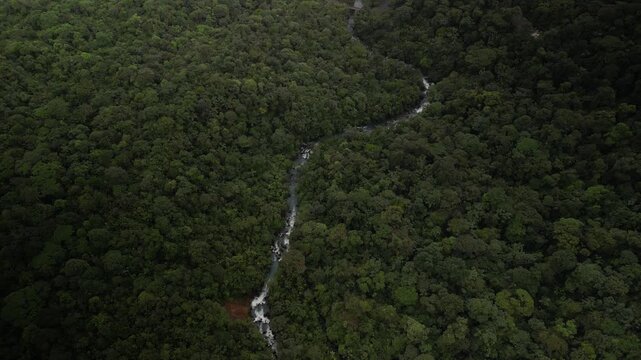 Aerial tilt down on Rio Celeste river in Costa Rica in dense lush jungle on rainy day