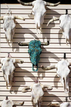 Santa Fe, New Mexico, United States.  Wall full of cow skulls with one covered in turquoise featured