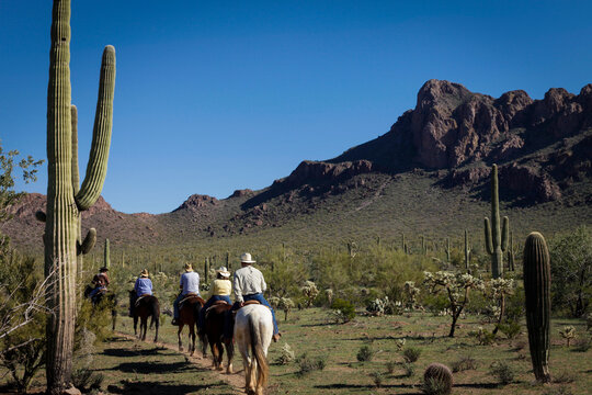 Tucson, Arizona, United States.  White Stallion Dude Ranch