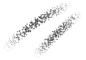 Obraz premium Abstract black brush strokes forming diagonal lines, artistic texture isolated on transparent background