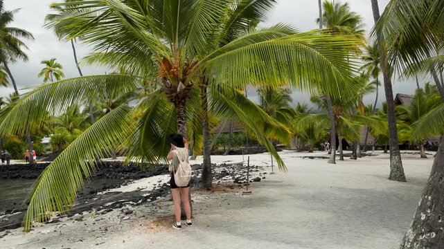 Young woman walking around palm trees inside exotic Puuhonua O Honaunau National Historical Park in Big Island, Hawaii. High quality 4k footage
