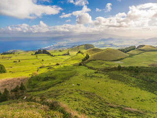 Panoramic view of lush green rolling hills, grazing cows, and the Atlantic coastline in S&atilde;o Miguel, Azores, Portugal.