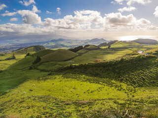 Panoramic view of lush green rolling hills, grazing cows, and the Atlantic coastline in S&atilde;o Miguel, Azores, Portugal.