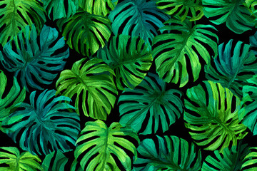 Fototapeta premium Green leaves arranged in a pattern showing details of tropical plants in a bright and vibrant setting
