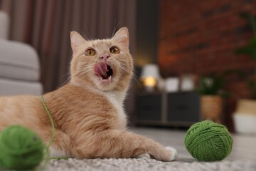 Cute ginger cat with balls of yarn on rug indoors, closeup. Space for text © New Africa