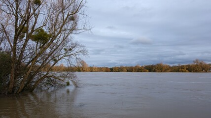 Crue de la Loire &agrave; Nantes