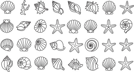 Obraz premium Collection of various seashells and starfish illustrations isolated on transparent background