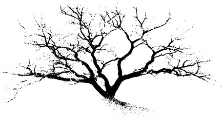 Fototapeta premium Abstract high contrast bare tree branches stencil design for nature art and decoration
