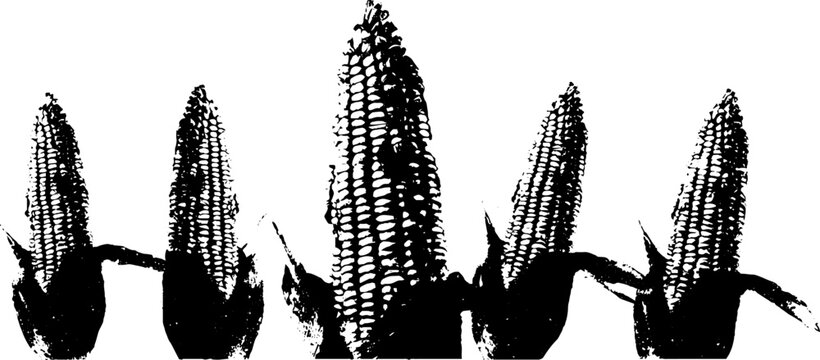 Abstract corn kernel grid in high contrast stencil style for decorative prints and design