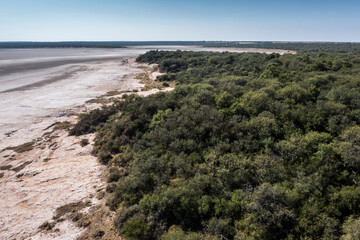Calden Forest landscape, La Pampa Province, Patagonia, Argentina.
