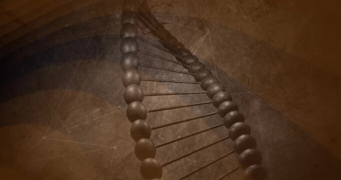 Warm sepia rising upper left, helix rotating, aligning, centering, accenting bead sheen on stone