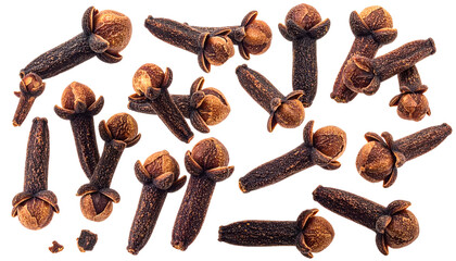Close-up studio shot of multiple dried spice buds, with dark stems and round heads, scattered against a transparent background