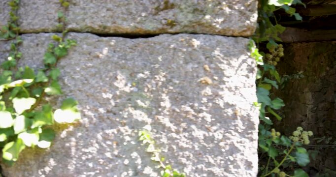 An abandoned stone house with a collapsed roof in the forest.