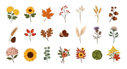 Collection of various autumn and fall season botanical elements and flowers. © Faeyza