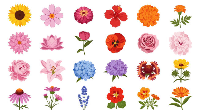 Colorful collection of various flower illustrations with different shapes and colors.