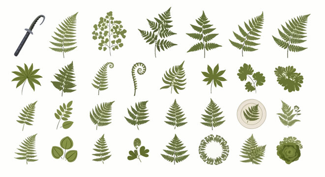 Collection of various green fern and leaf silhouettes with different shapes and sizes.