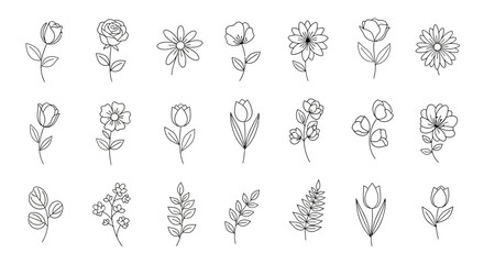 Set of simple hand-drawn floral and leaf line art illustrations. © nazron