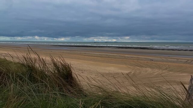Oyster farm on the Normandy coast of France. High quality 4k footage